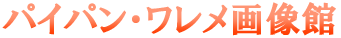 �p�C�p���E�������摜��